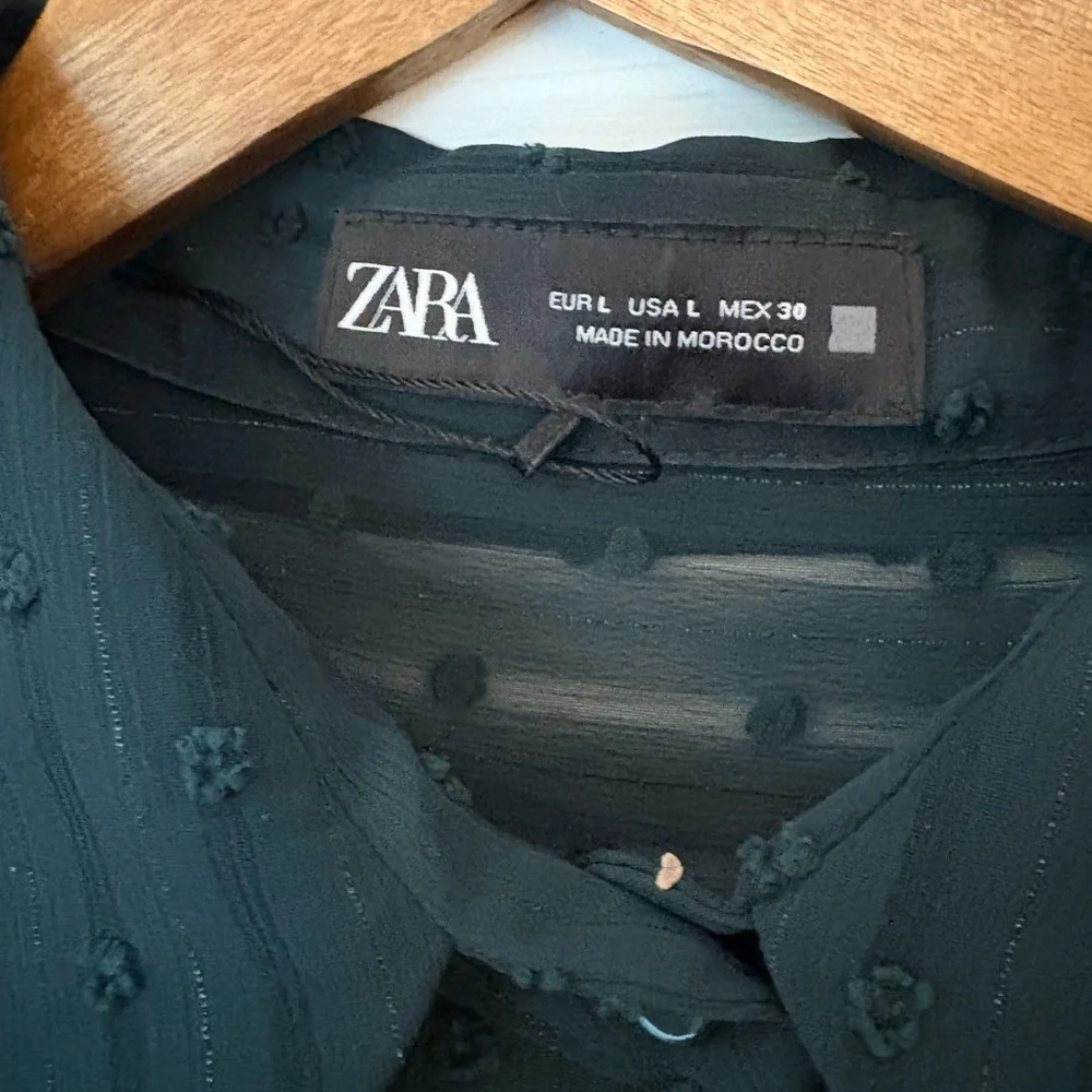 Zara Dark Teal Sheer Stripe Button-Down Blouse - NWOT - Picture 3 of 3